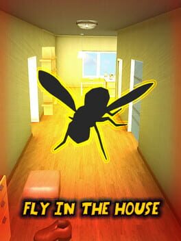 Fly in the House Cover