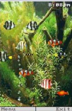 Pocket Aquarium Cover