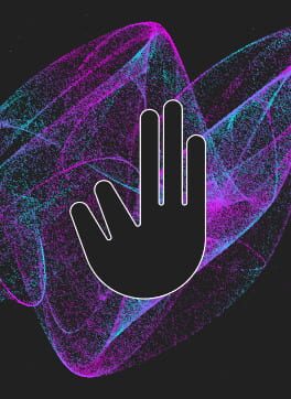 Bagburnian Remote Cover