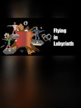 Flying in Labyrinth Cover