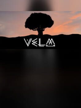 VeLM Cover