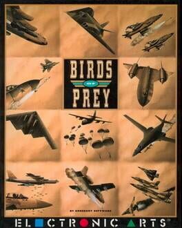 Birds of Prey Cover