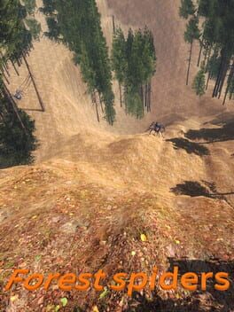 Forest spiders Cover