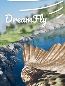 DreamFly Cover