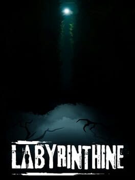 Labyrinthine Cover
