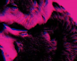 Wolfgirls in Love Cover