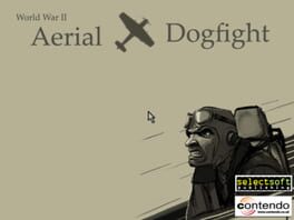WWII Aerial Dogfight Cover