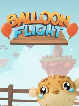 Balloon Flight Cover