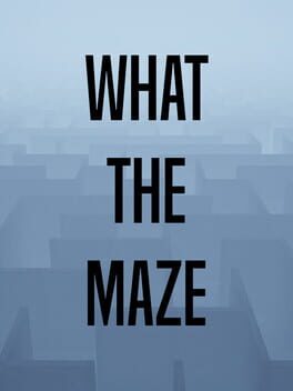 What the Maze Cover