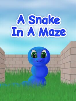A Snake in a Maze Cover