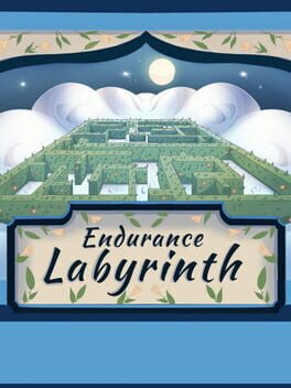Endurance Labyrinth Cover