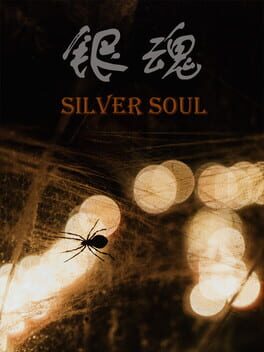Silver Soul Cover