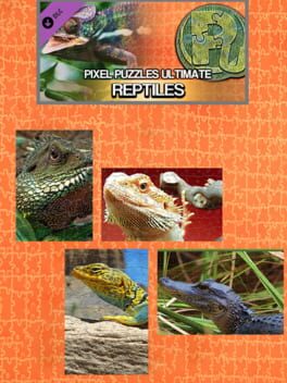 Pixel Puzzles Ultimate: Reptile Cover