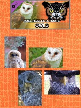 Pixel Puzzles Ultimate: Owls Cover