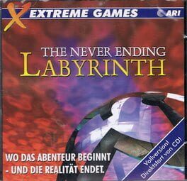 The Neverending Labyrinth Cover