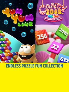 Endless Puzzle Fun Collection Cover
