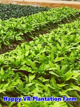 Happy VR Plantation Farm Cover