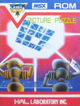 Picture Puzzle Cover