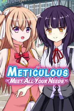 Meticulous: Meet All Your Needs Cover