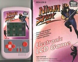 Ninja Spirit Cover