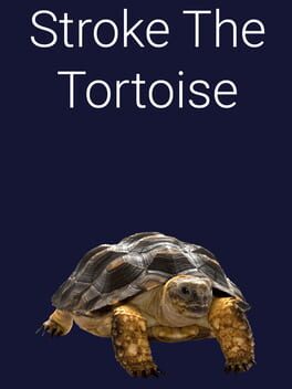 Stroke the Tortoise Cover