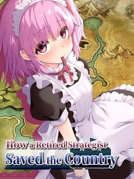 The Retired Strategist's Way to Save the Country Cover