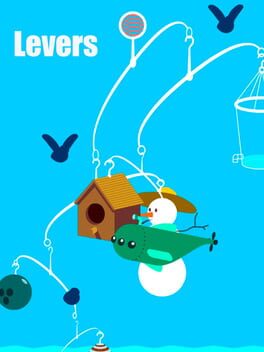 Levers Cover