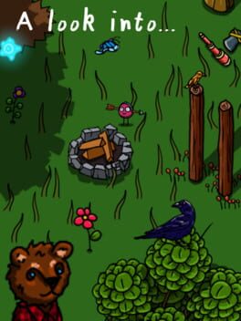 A look into... Cover