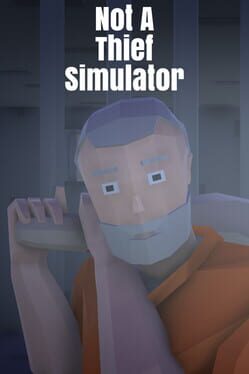 Not A Thief Simulator Cover