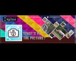 What's in the Picture: Animals Cover