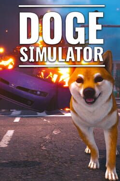 Doge Simulator Cover