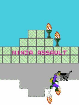 Ninja Assault Cover