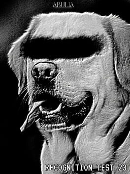 Recognition Test 23 Cover