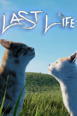 Last Life Cover