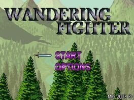 Wandering Fighter Cover