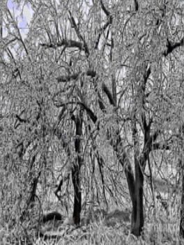 Seasonal Affectiveness Disorder Cover