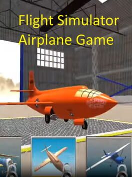 Flight Simulator Airplane Game Cover