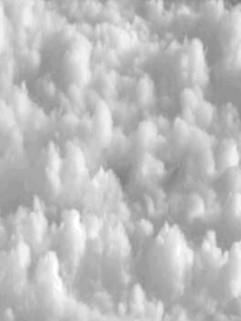 Beware of Falling Angels Cover