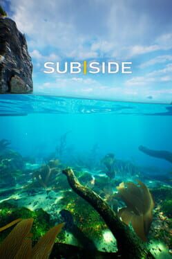 Subside Cover