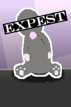Expest Cover