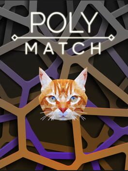 Poly Match Cover