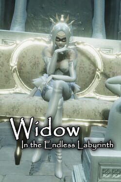 Widow in the Endless Labyrinth Cover