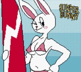 Surfer Bunny Cover