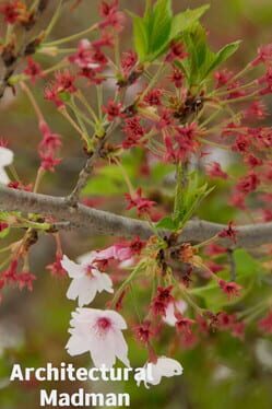 Architectural Madman Cover