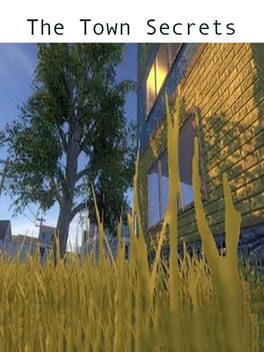 The Town Secrets Cover