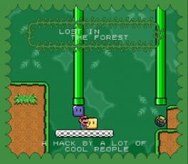 Lost in the Forest Cover