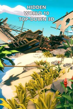 Hidden World 10 Top-Down 3D Cover