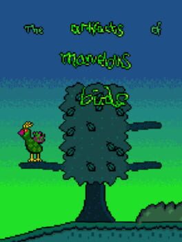 The Artifacts of Marvelous Birds Cover