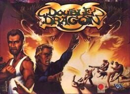 Double Dragon Cover