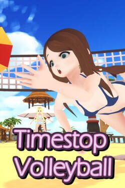 Timestop Volleyball Cover